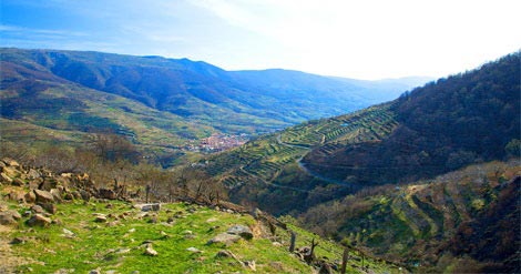 Valle del Jerte y La Vera